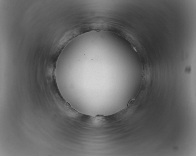 X0000113120333200909111146