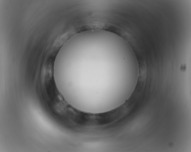 X0000113120334200909111146