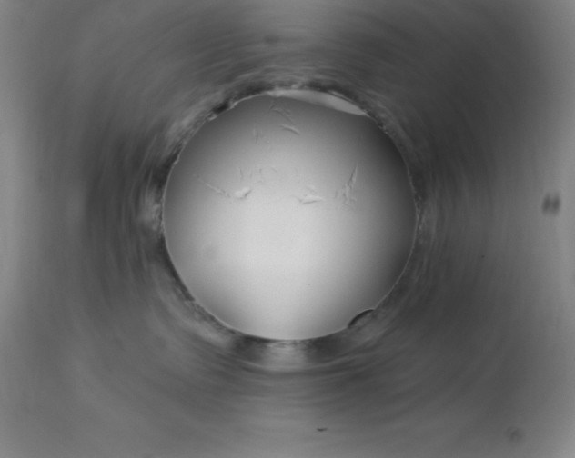 X0000113120335200909111146