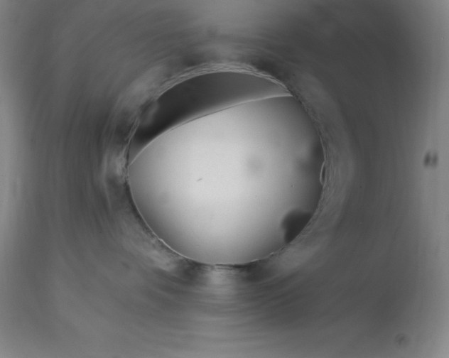 X0000113120336200909111146