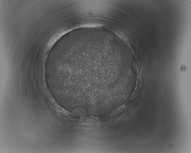 X0000113120337200909111145