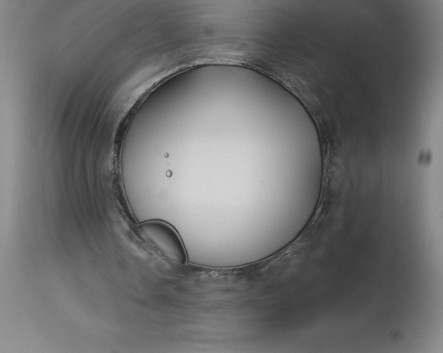 X0000113120338200909111145