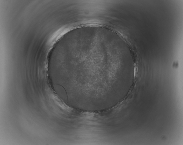 X0000113120339200909111145