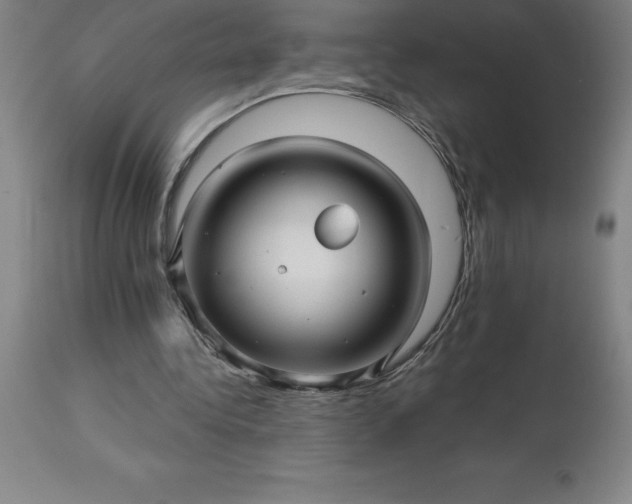 X0000113120340200909111145