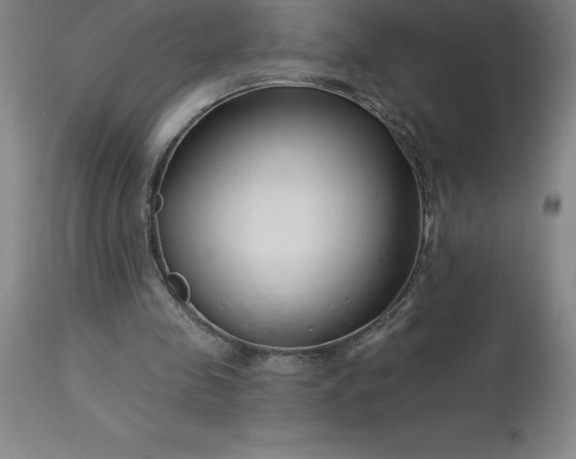 X0000113120341200909111145