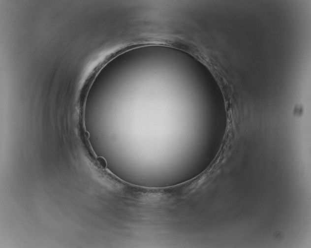 X0000113120342200909111145