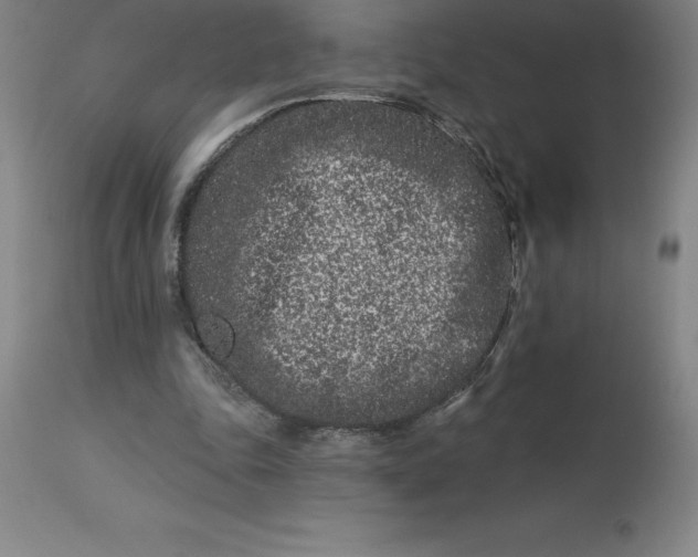 X0000113120343200909111145