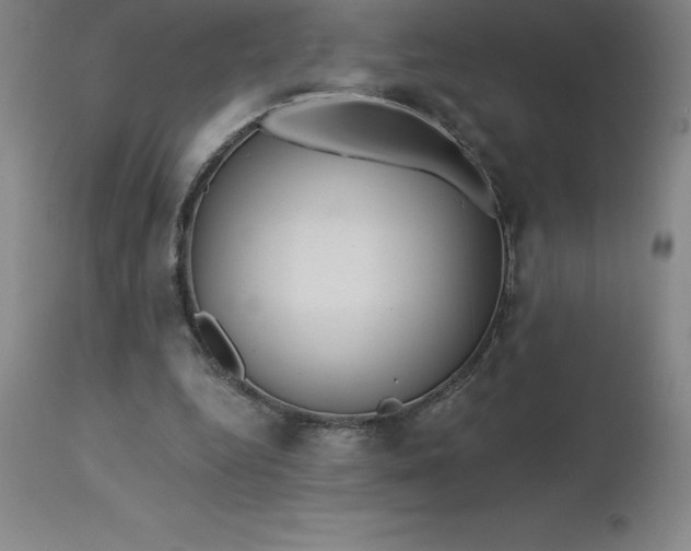 X0000113120344200909111145