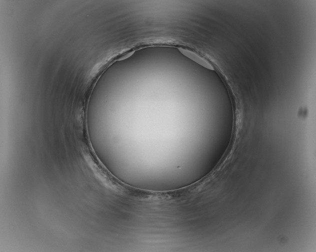 X0000113120345200909111145