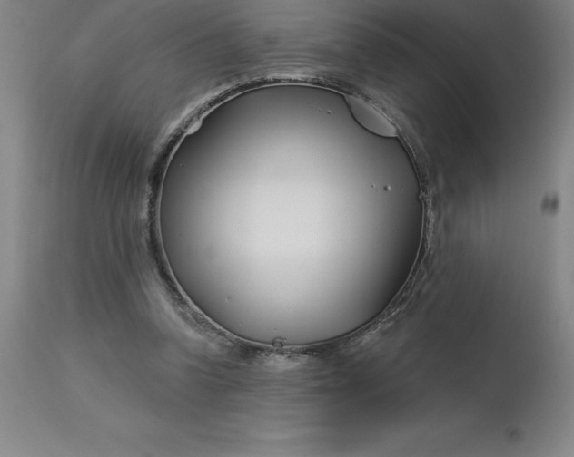 X0000113120346200909111145