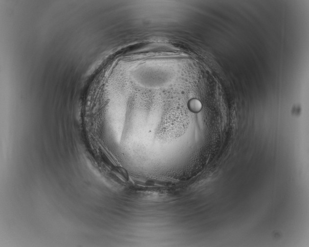 X0000113120347200909111145