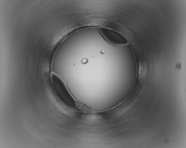 X0000113120348200909111145