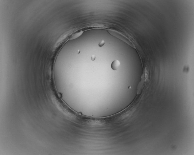 X0000113120349200909111145