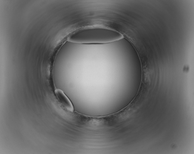 X0000113120350200909111145