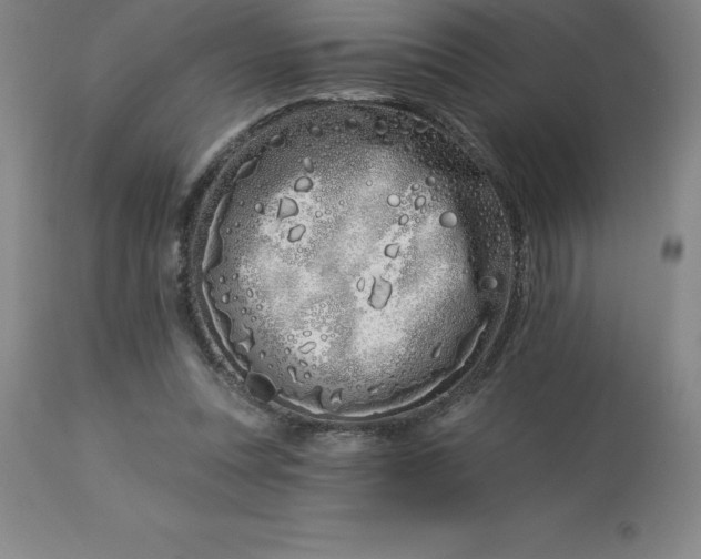 X0000113120351200909111145