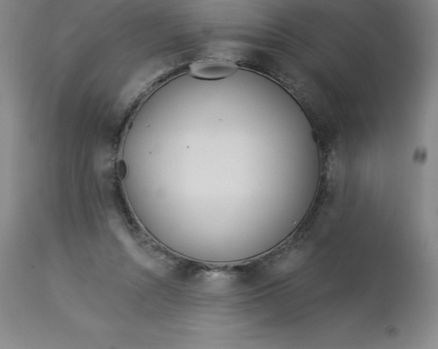 X0000113120352200909111145