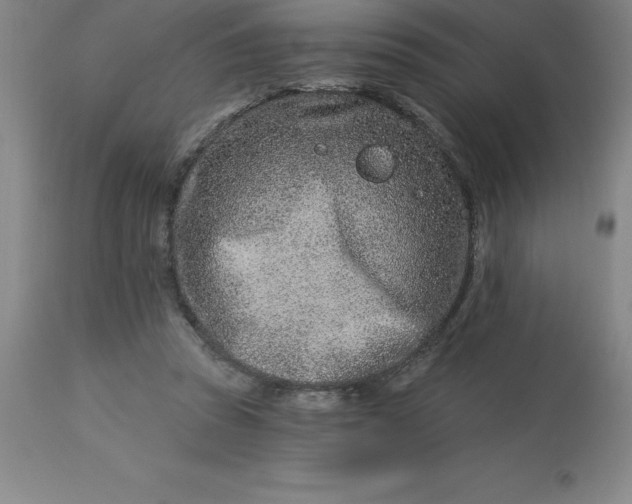 X0000113120353200909111145