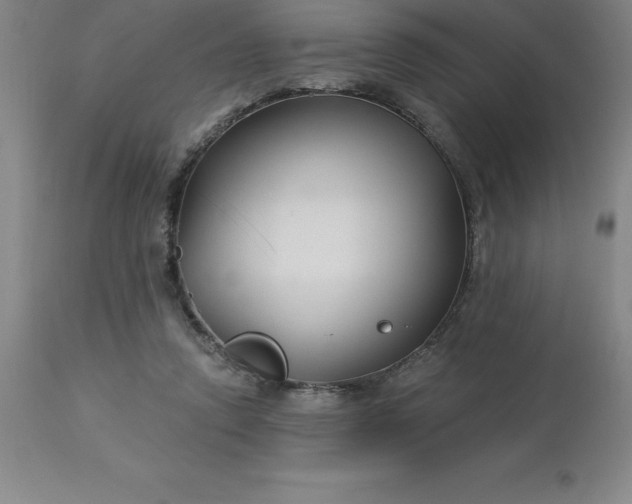 X0000113120354200909111145