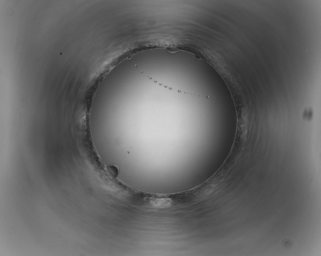 X0000113120355200909111145