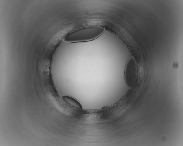 X0000113120356200909111145