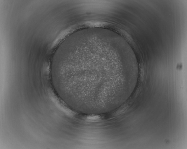 X0000113120357200909111145