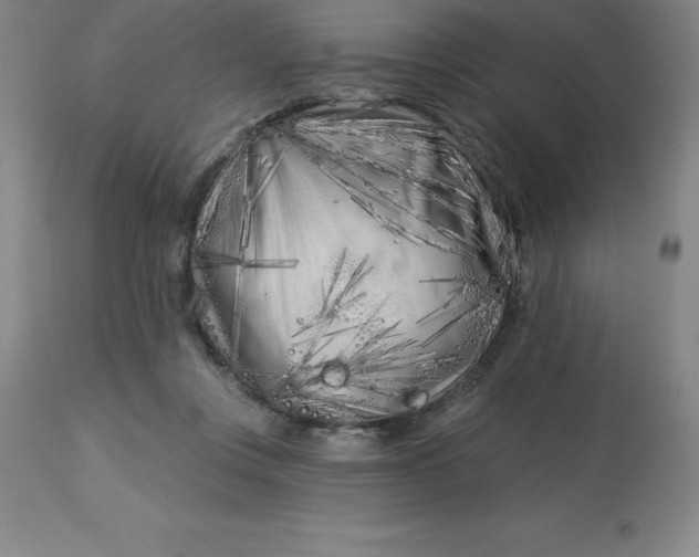 X0000113120359200909111145