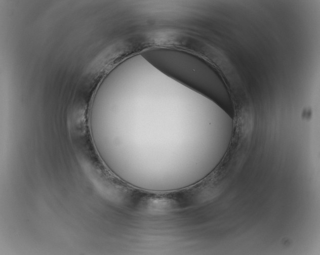 X0000113120360200909111145