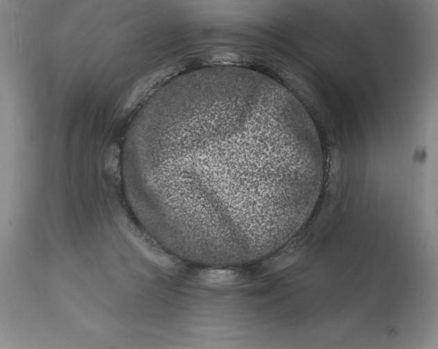 X0000113120361200909111145