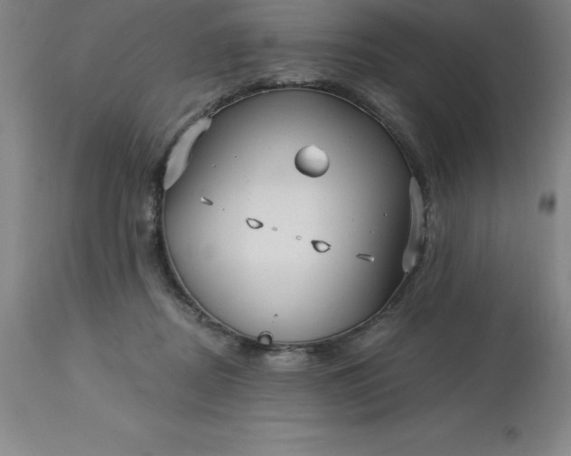 X0000113120362200909111145