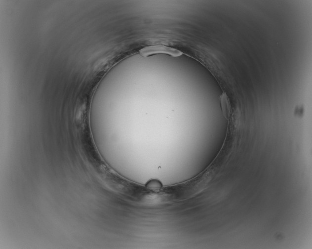 X0000113120364200909111145