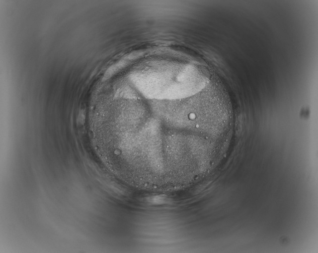 X0000113120365200909111145