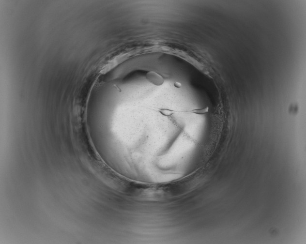 X0000113120366200909111145