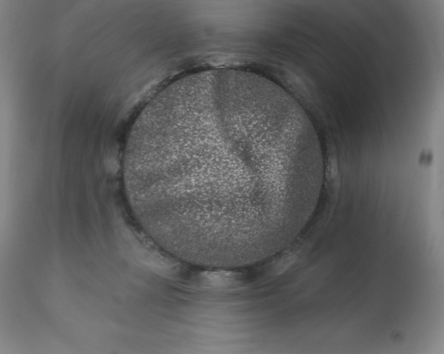 X0000113120367200909111145