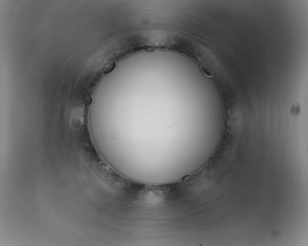 X0000113120368200909111145