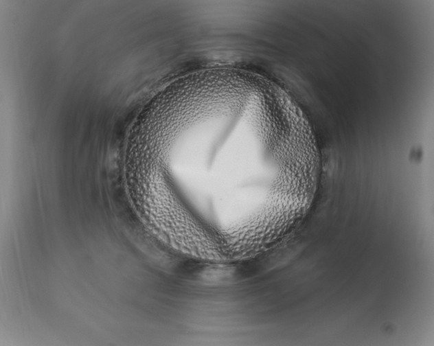 X0000113120369200909111145