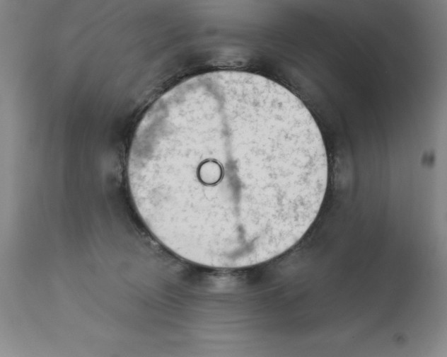 X0000113120370200909111145