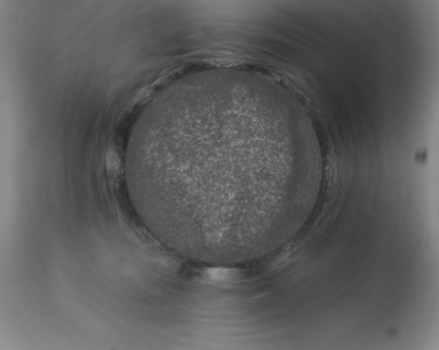 X0000113120371200909111145