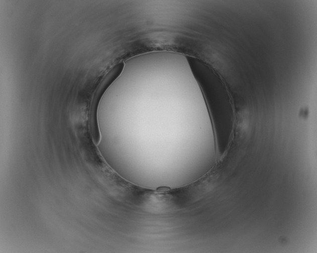 X0000113120372200909111145