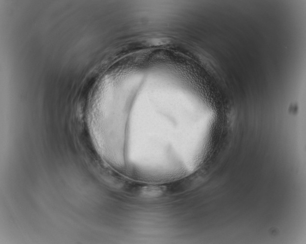 X0000113120373200909111145