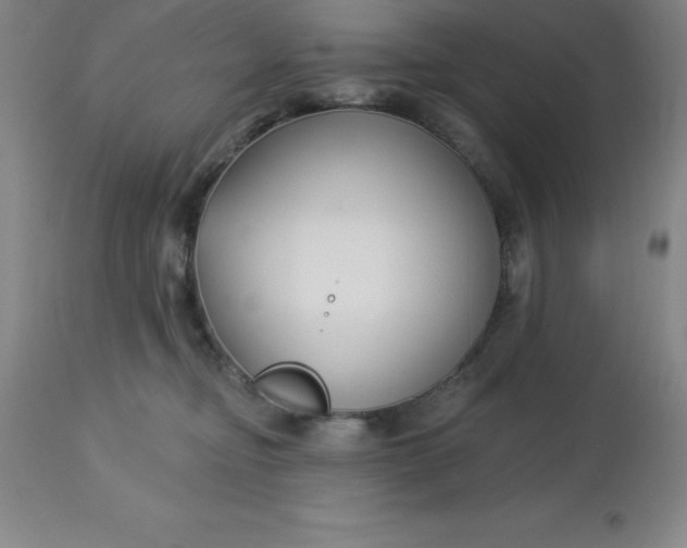 X0000113120374200909111145