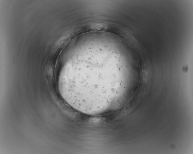 X0000113120375200909111145