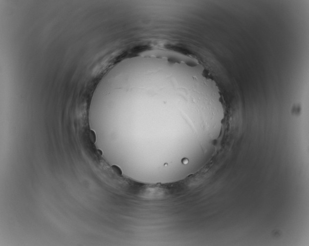 X0000113120376200909111145