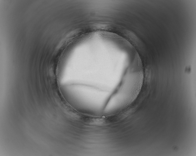 X0000113120377200909111145