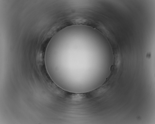 X0000113120378200909111145