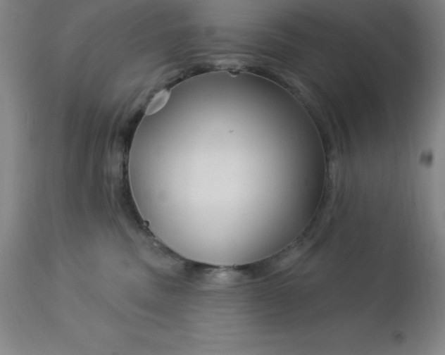 X0000113120379200909111145