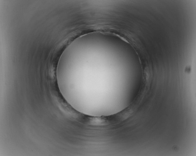 X0000113120380200909111145