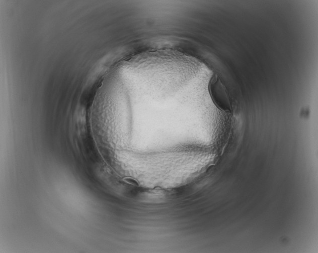 X0000113120381200909111145