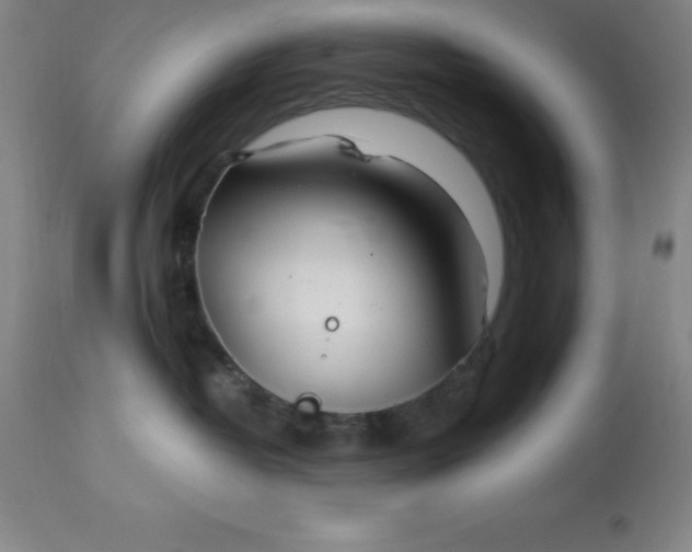 X0000113120382200909111146