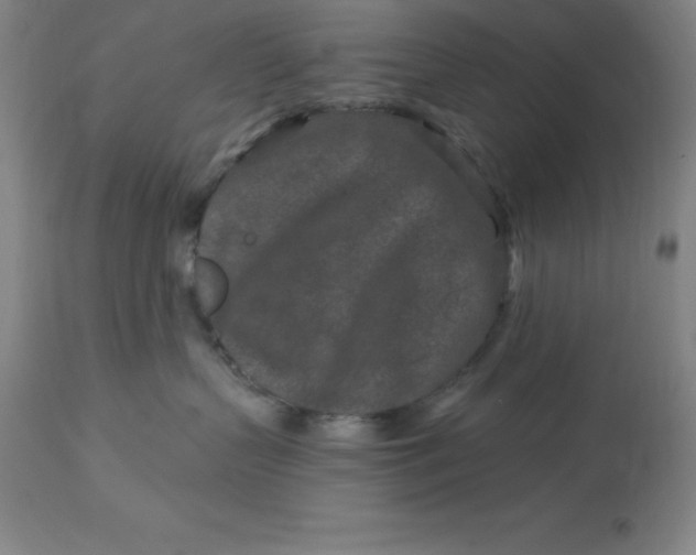 X0000113120383200909111146