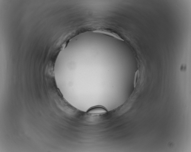 X0000113120384200909111146